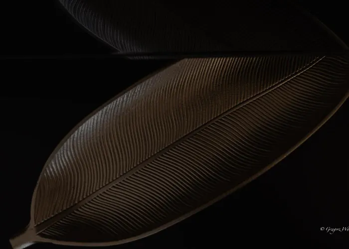 Apartman W Karkonoszach - Klimatyzacja, Widok Na Sniezke, Obok Aquaparku, Blisko Do Wang Karpacz